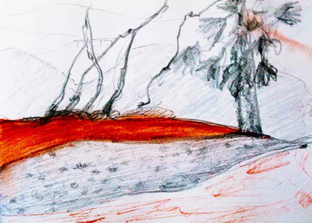 Les lignes du paysage : crayon et sanguine sur papier 